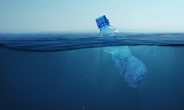 Platic bottle floating in ocean.