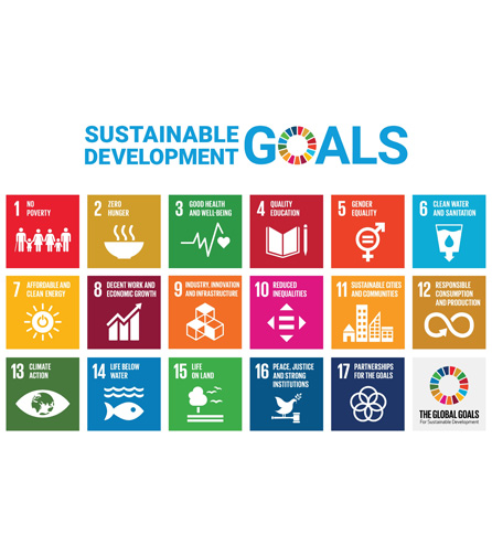 Visual of the sustainability goals.
