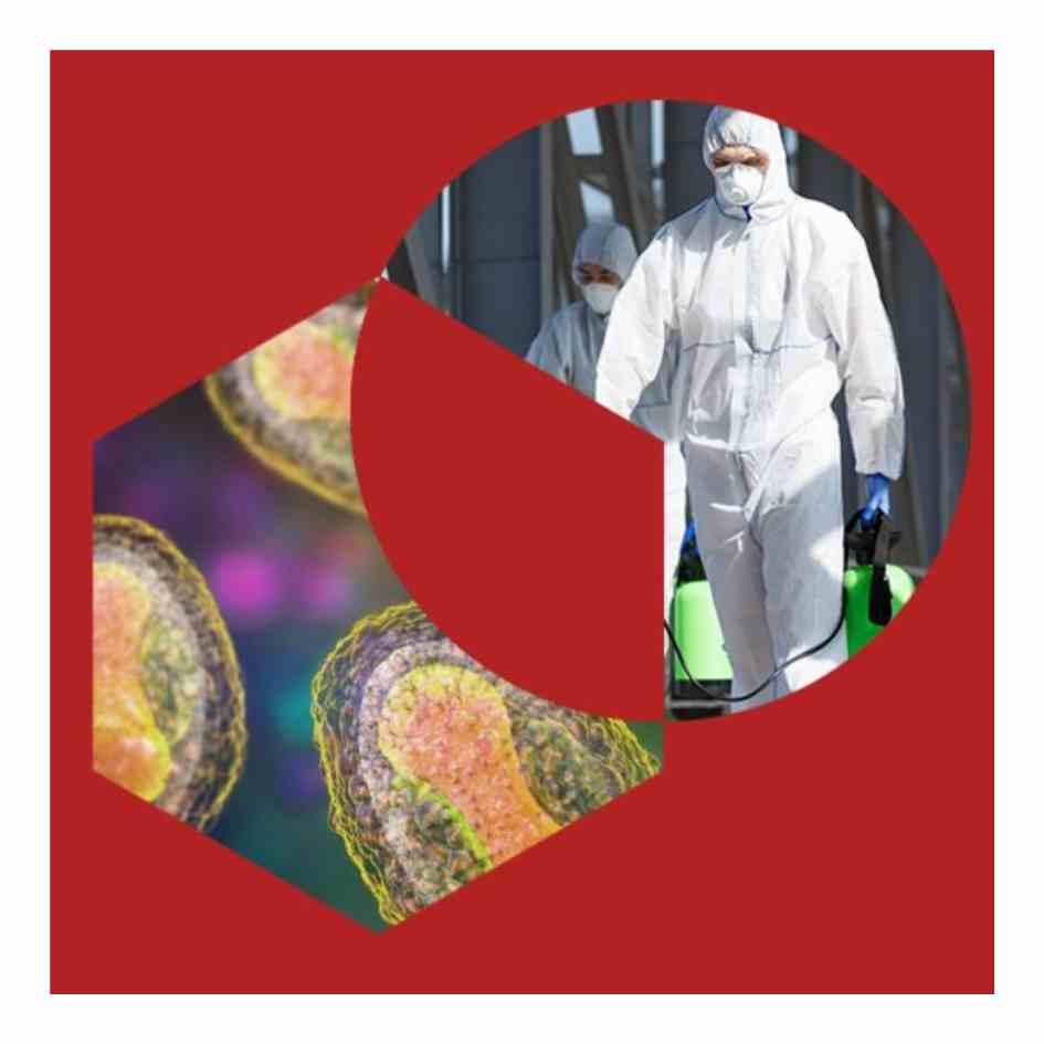 From Cholera to COVID-19: A Global History of Epidemics unit icon
