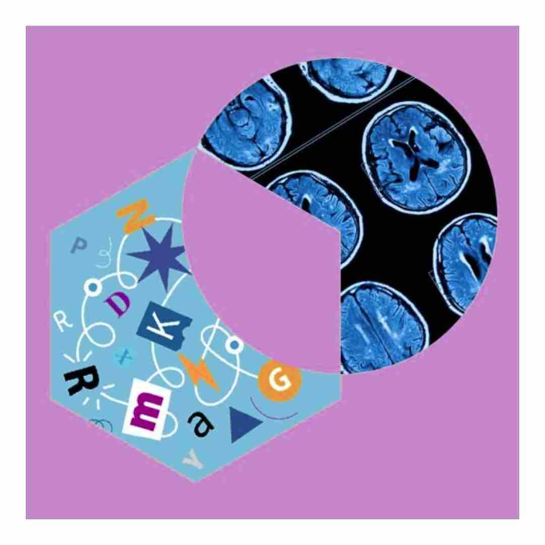 Language Mind and Brain Online (online) unit icon